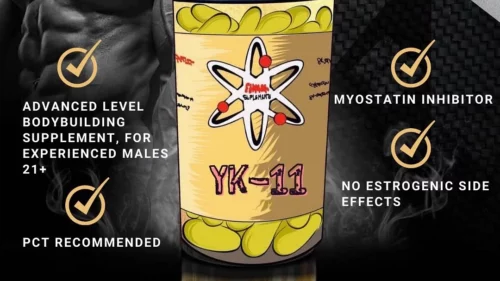 YK-11 - MYOSTATIN BLOCKER (60 x 5mg)